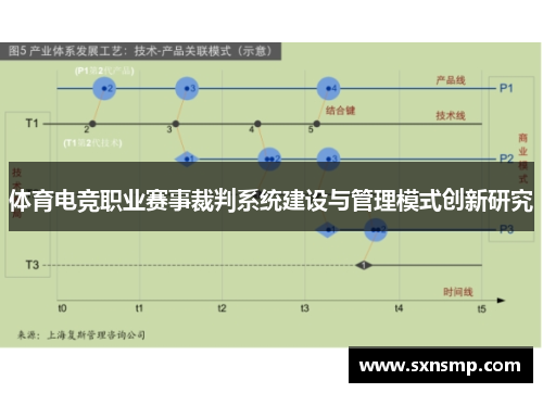 体育电竞职业赛事裁判系统建设与管理模式创新研究