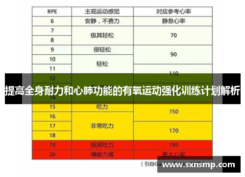 提高全身耐力和心肺功能的有氧运动强化训练计划解析