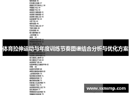 体育拉伸运动与年度训练节奏图谱结合分析与优化方案