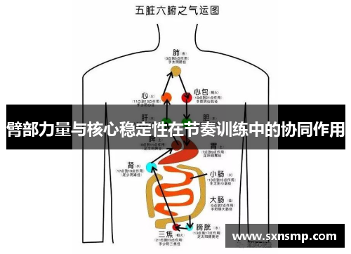 臂部力量与核心稳定性在节奏训练中的协同作用